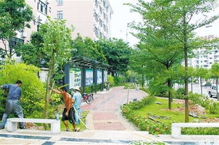 定鼎园林 专业园林景观工程施工一站式解决方案