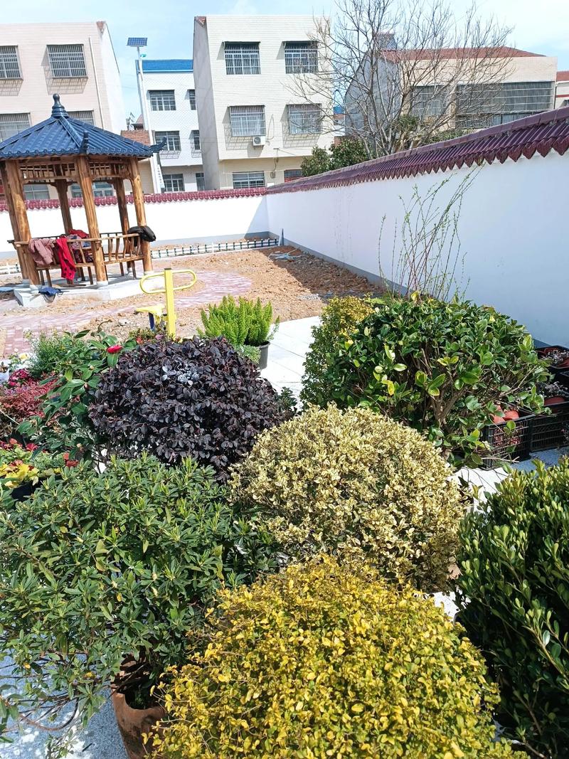 单位绿化施工现场纪实 园林景观中的假山营造艺术